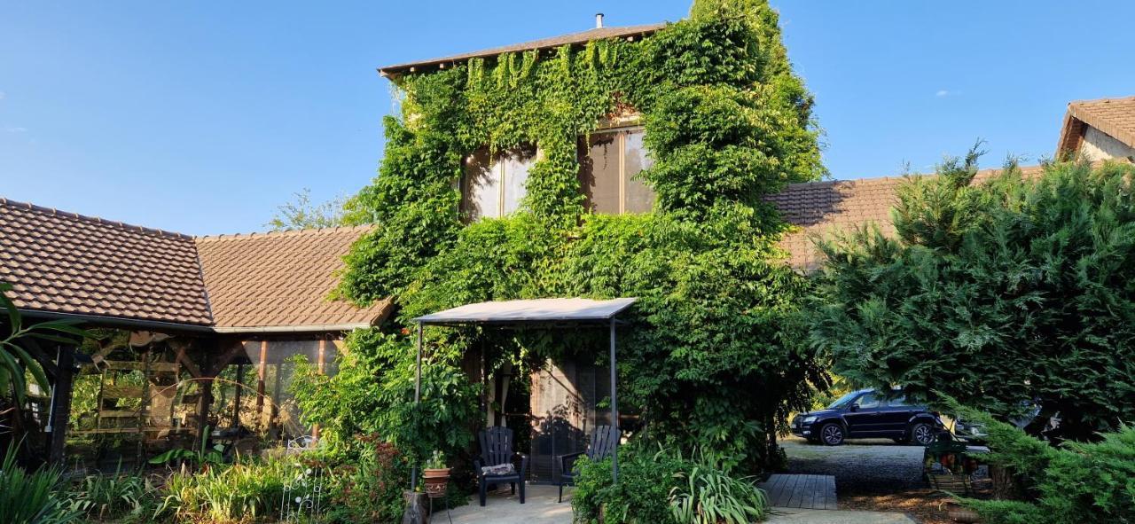Villa Les Grands Bois à Saint-Épain Extérieur photo